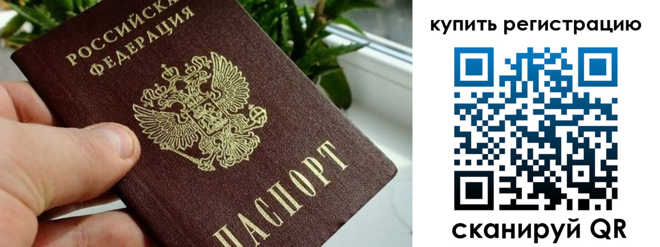 прописка гарантия в Тайге